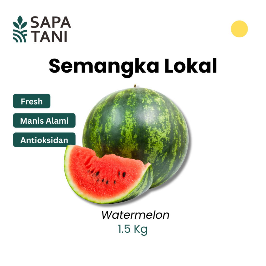 

Sapatani Semangka 1,5 kg Buah Tropis Manis, Segar, dan Kaya Air