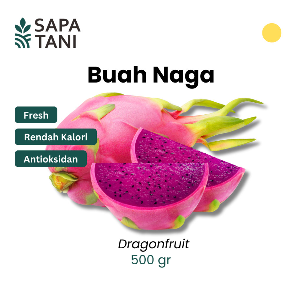 

Sapatani Buah Naga Segar 500gr Buah Superfood Kaya Antioksidan Rasa Manis Alami & Segar