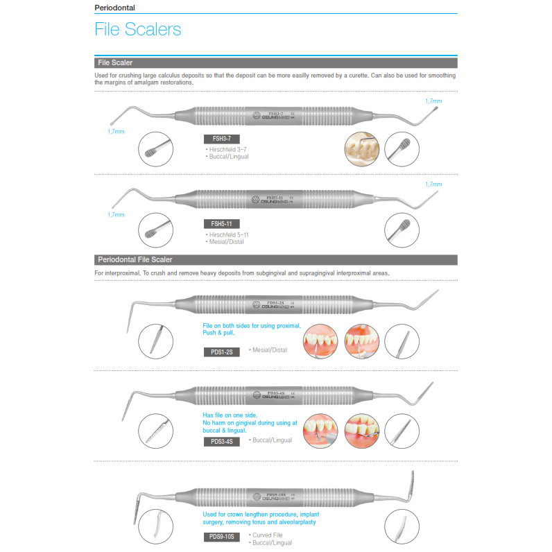 Osung Pediatric File Scaler and Periodontal FIle Scaler Original