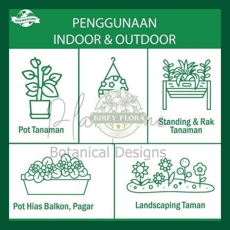 Fermented Bamboo Mulch Humus Pupuk Kompos Organic Media Daun Bambu