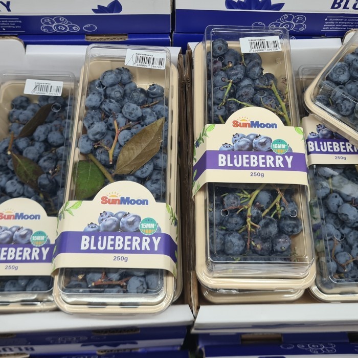 

buah blueberry sunmoon china blueberry liar 250grm pack