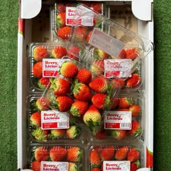 

strawberry Korea fresh 1 pack 250 gram / Korean strawberry pack 250g