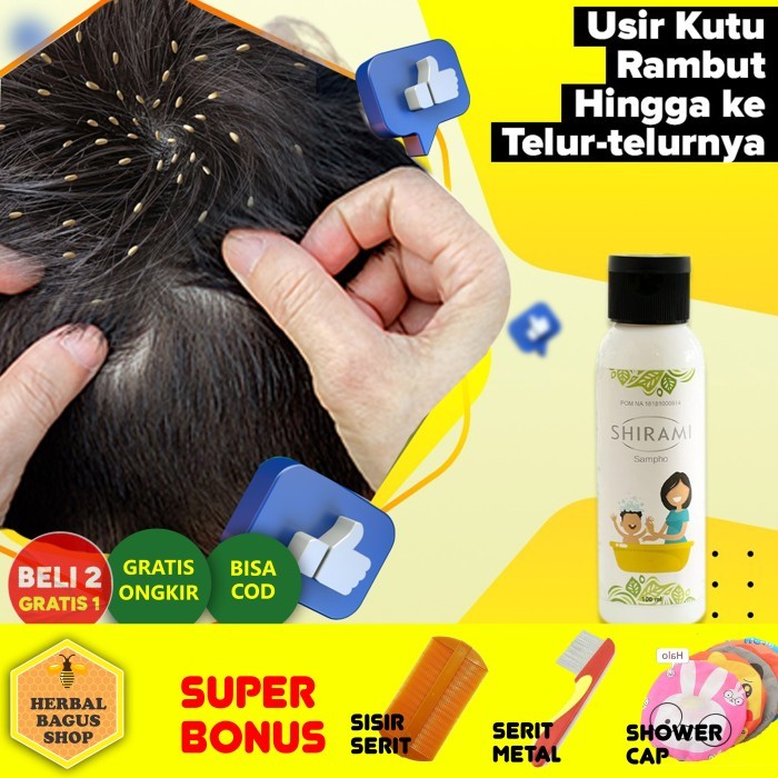 Obat Kutu Rambut Alami Anak dan Dewasa, Shampoo Kutu Rambut Alami BPOM