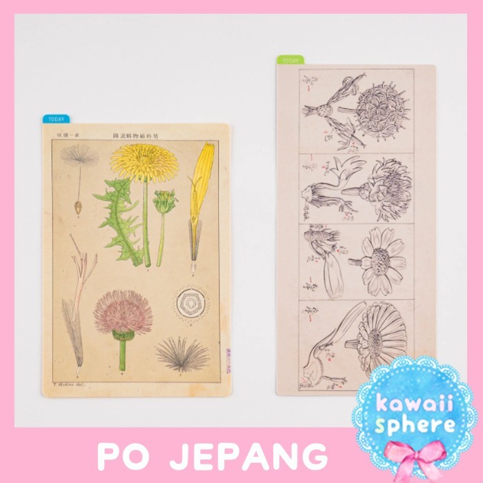 

TERBARU Hobonichi Pencil Board / Underlay Tomitaro Makino Botanical PO BISA GRAB!
