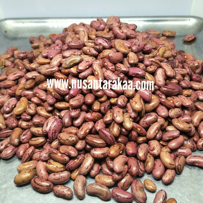 

Diskon Kacang Merah Super Import 25Kg Cod