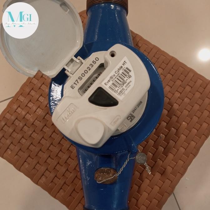Water Meter Itron Ever Blue Cyble Ht 1,5 Inch Dn 40Mm..
