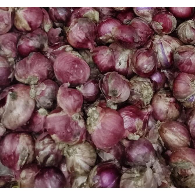 

SY BAWANG MERAH BATU (KG) ORIGINAL
