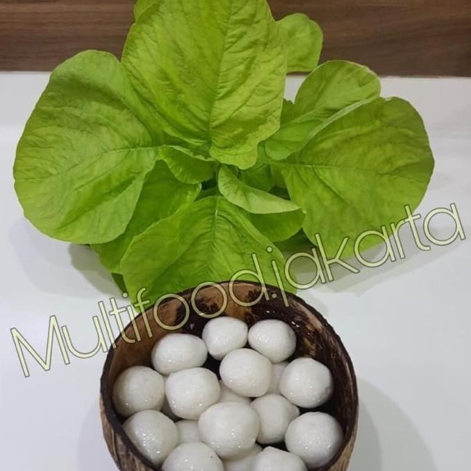 

New Bakso Ikan White Fish Ball 450Gr Bakso Ikan Olahan