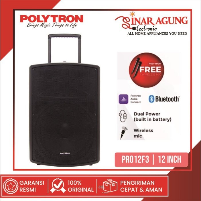 POLYTRON SPEAKER PORTABLE PROFESSIONAL ACTIVE 12" PAS PRO12F2
