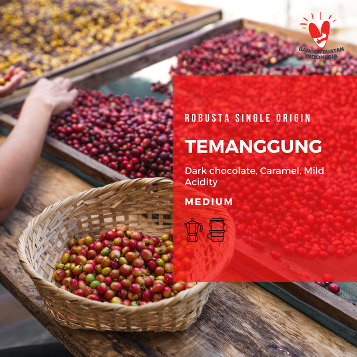 

Robusta Temanggung 1Kg Roast Bean Coffee - Kopi Biji Matang