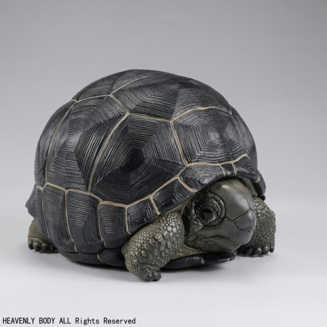 Promo DP PO Animal Heavenly Body Aldabra Tortoise / Kura kura Aldabra COD