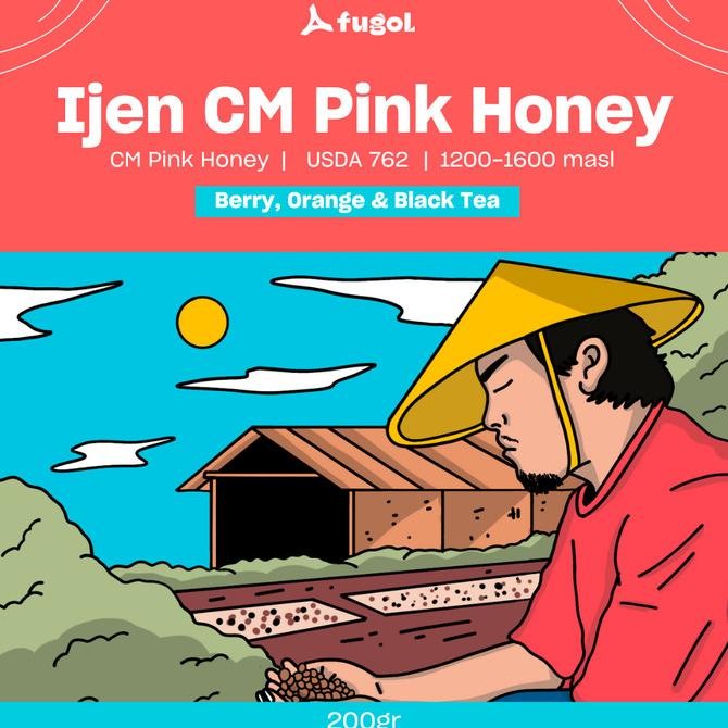 

Ijen Carbonic Maceration Pink Honey (200 Gr) Specialty Coffee Beans