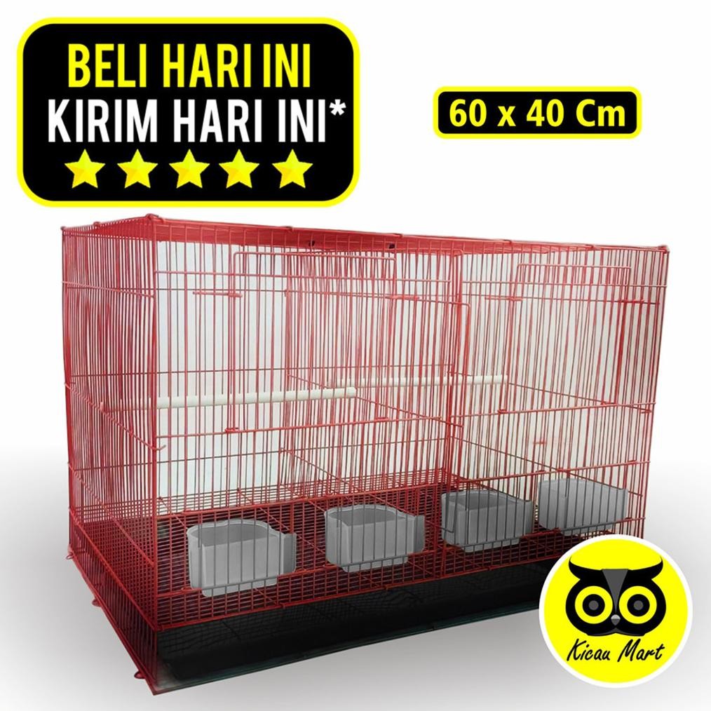 COD KICAU MART Sangkar Umbaran Kandang Sekat Size 60x40x40 Sangkar Kotak Besi Ternak Burung Lovebird