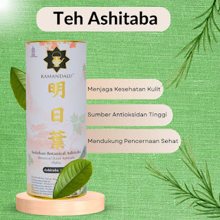 

Ashitaba Antioxidant Tea - Mengurangi Kerusakan Radikal Bebas
