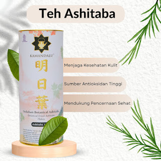 

Teh Ashitaba - Sumber Energi untuk Aktivitas Fisik yang Optimal