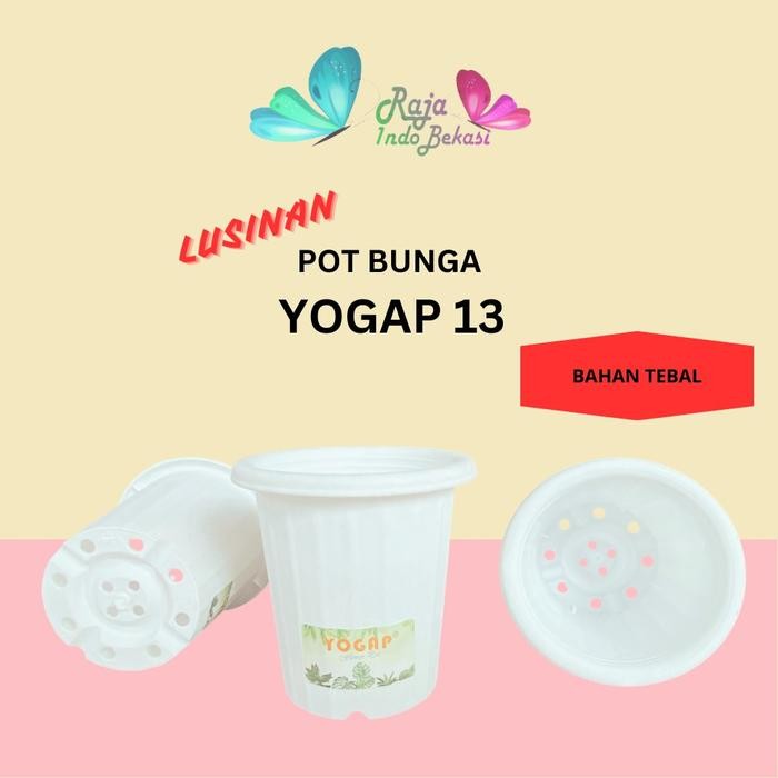 LUSINAN Pot Yogap 13 isi 12 pcs Pot Yogap 13 Putih Transparan Merah Bata Pot Bunga Hias Aglonema Pot