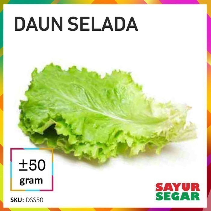 

Daun Selada Sayur [50G]