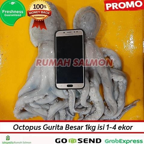 

Promo Octopus Gurita Besar 1kg isi 1-4 / gurita frozen/ baby octopus murah COD