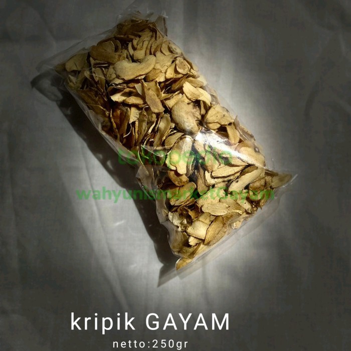 

TERUJI keripik gayam 250gr