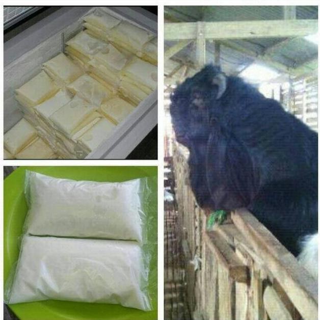 

PROMO / Susu Kefir Kambing Etawa 1 LITER NON COD