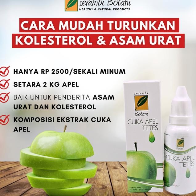

Oleterol Dan Aam Urat Cua Apel Tete Erambi Botani