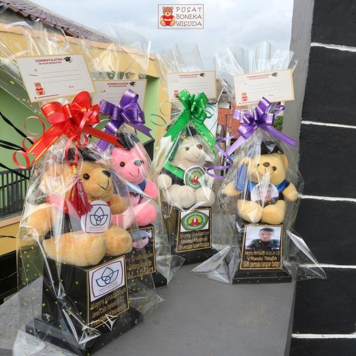 Piala Boneka Wisuda Murah Kado Teddy Bear Kecil Mini 15Cm Hadiah Graduation Pilbon Anak Tk Toga