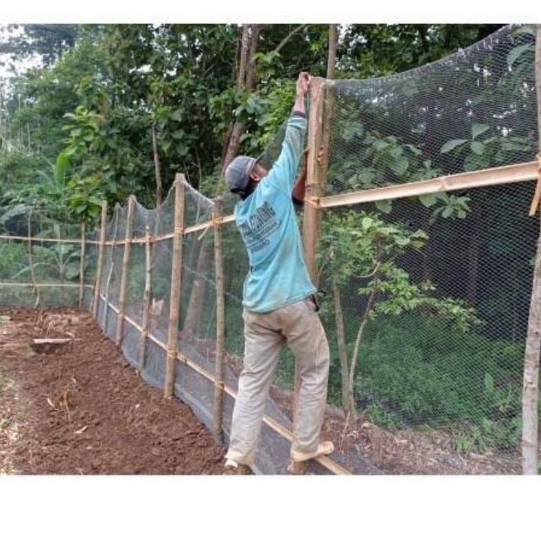 Promo Gila Jaring Pagar Ayam Lubang 1Inc Ukuran 1.5X20Meter (Bekas Nelayan) Ufo-2025