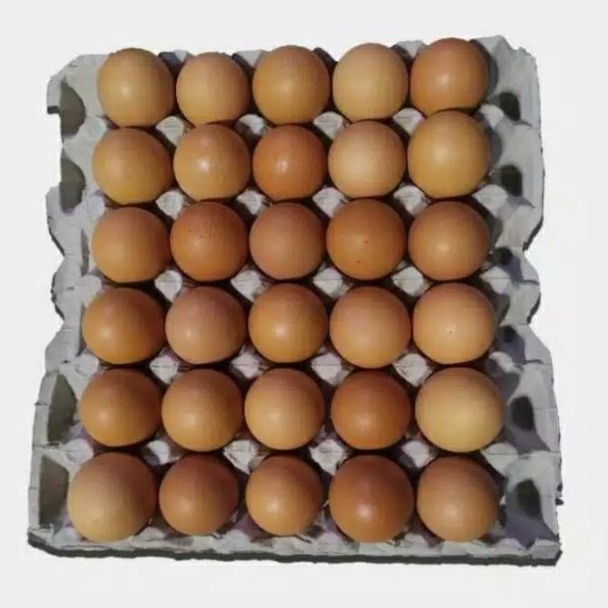 

Telur Negri Lokal 1 Tray Isi 30 Butir Segar Termurah
