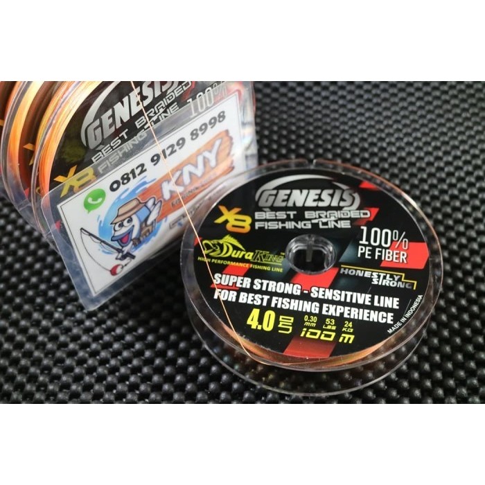 BISA E-KATALOG Duraking Genesis 200 meter PE 4 / 0.3 mm / 24 kg benang pancing PE