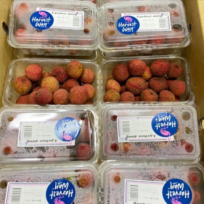 

Lychee Merah Leci Merah Australia 400 grm