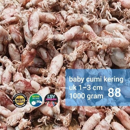 

IKAN ASIN BABY CUMI / CUMI REBUS KERING 88% 1KG KODE 26