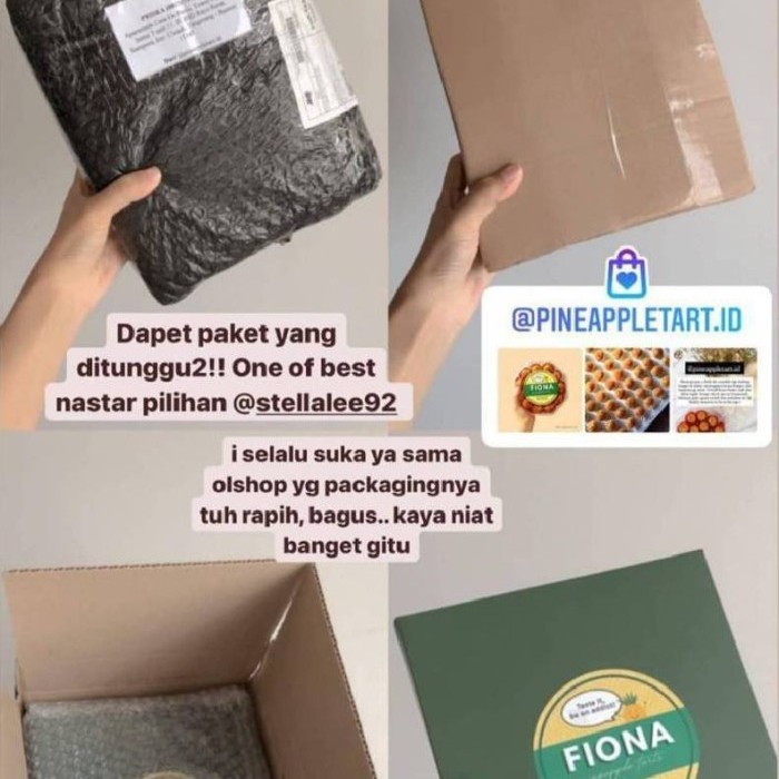 

NASTAR FIONA PREMIUM (BOX - ALL SHIPMENT)