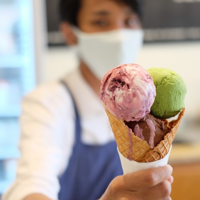 

HONEST SPOON HANDCRAFTED ICE CREAM TAKEAWAY TUB 450ML - PREMIUM