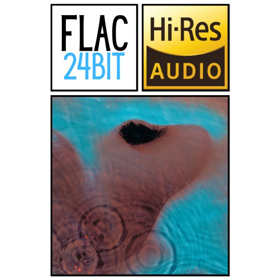 Flac 24 Album Pink Floyd - Meddle (1971) HiRes