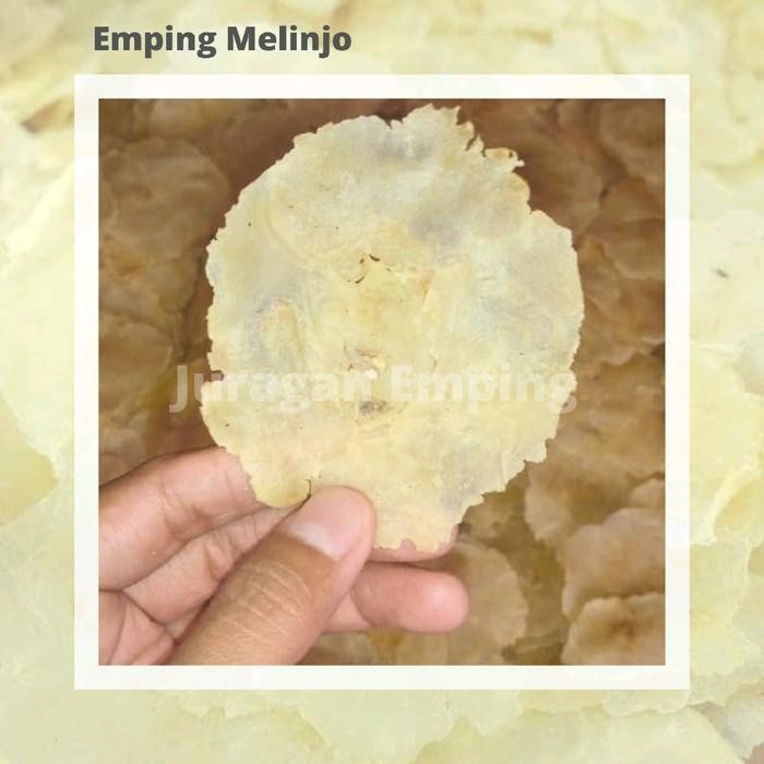 

Promo emping melinjo mentah asli banten 1 kg empingmelinjomentahgratisongkir Ready