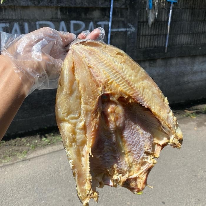 

New Ikan asin jambal roti 1/2 kg Ready