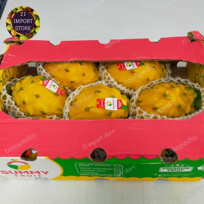 

Promo Terbatas Buah Naga Kuning Equador Fresh Dragon Fruit Yellow 1 Pcs Aman