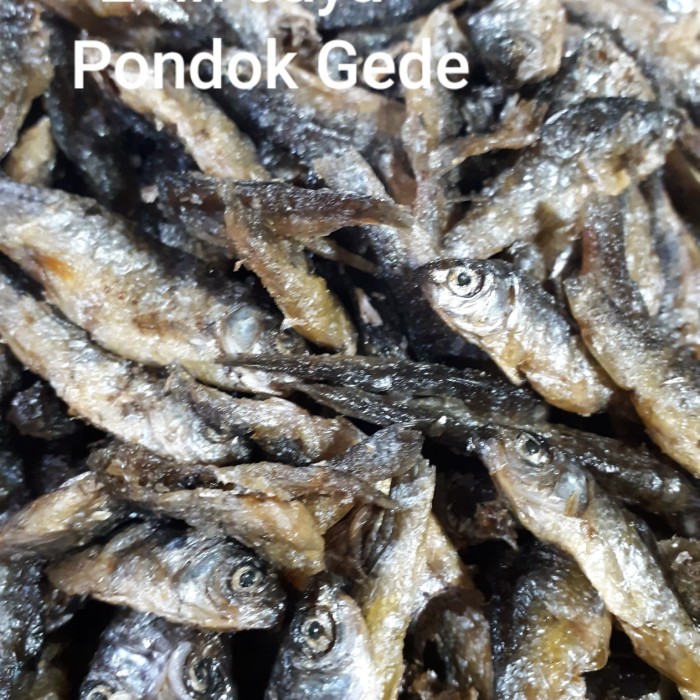 

IKAN BILIH PADANG/BILIS SINGKARAK NETTO 1 KG