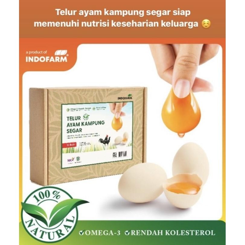 

LOLA Telur Ayam KAMPUNG Organic Omega-3 Free Range Eggs INDOFARM 1 Box BS66