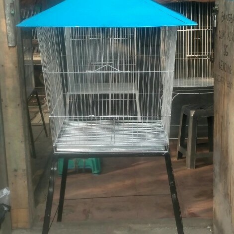 KANDANG LIMAS BESAR BUAT BURUNG BEO BURUNG JALAK DAN AYAM KATE KODE 428