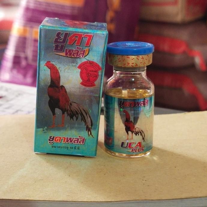 

READY UCA PLUS AYAM TARUNG SAKIT KAKI SETELAH ADU PILEK NGOROK SALMONEL
