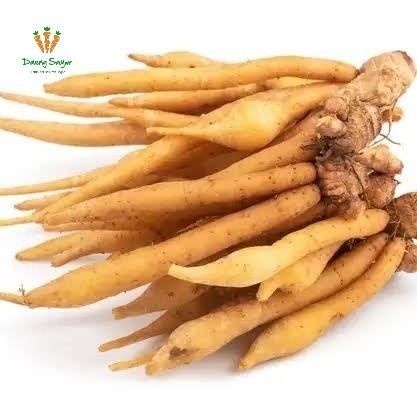 

Rempah Bumbu Temu Kunci - 100gr