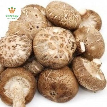 

Jamur Payung Kering Dries Mushroom Shitake - 50gr