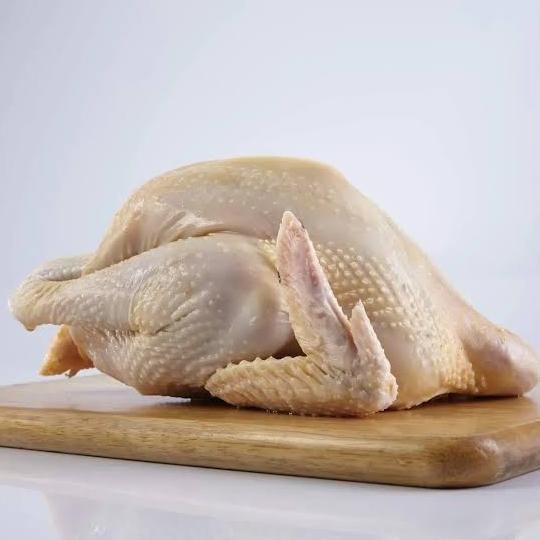 

READY AYAM KAMPUNG 1 EKOR