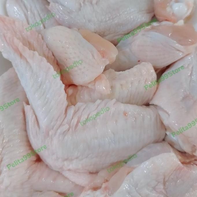 

READY SAYAP AYAM BERSIH SEGAR