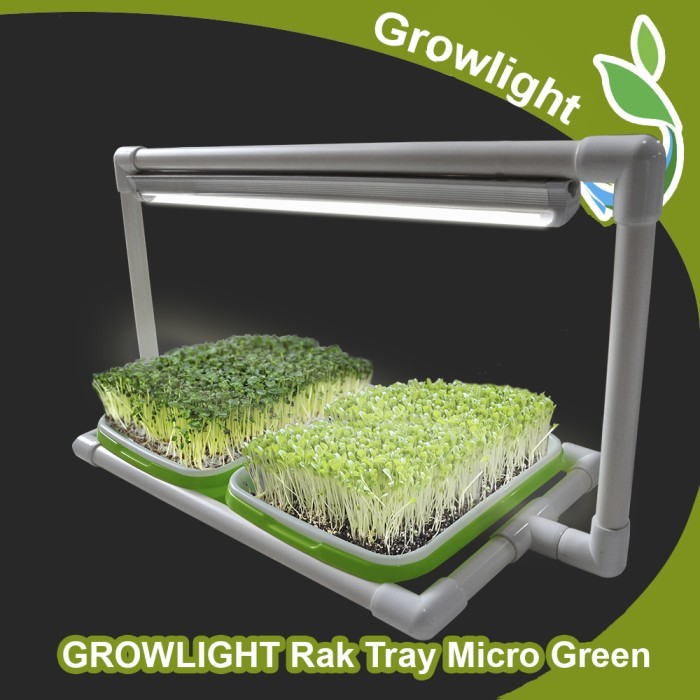 Mini Kit GROWLIGHT TRAY MICROGREENS 2 Tray