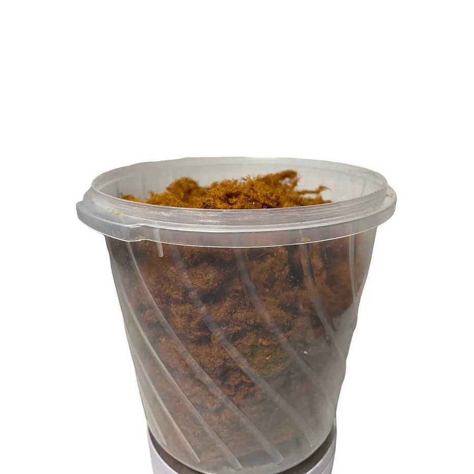 

HEMAT 500 GRAM ABON SAPI FULL SERAT - Food Snack Cemilan Kering tidak Pedas Goreng Keripik Makanan