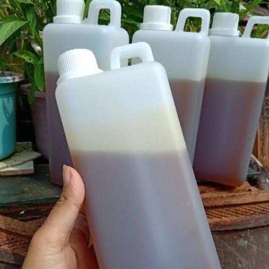 

^^^^^] Madu Liar Lokal SUMBAWA Kemasan 1kg 1 kg