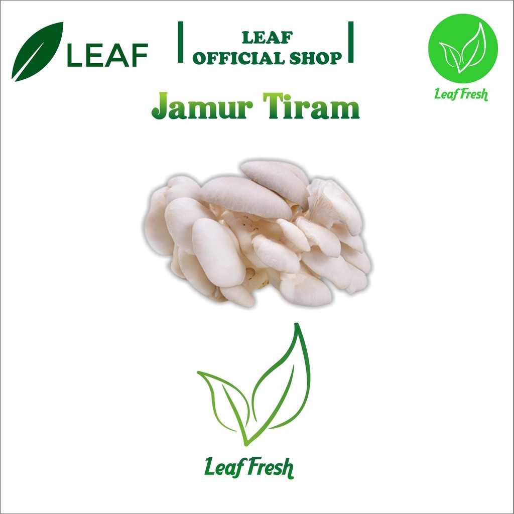 

JAMUR TIRAM BY LEAF FRESH