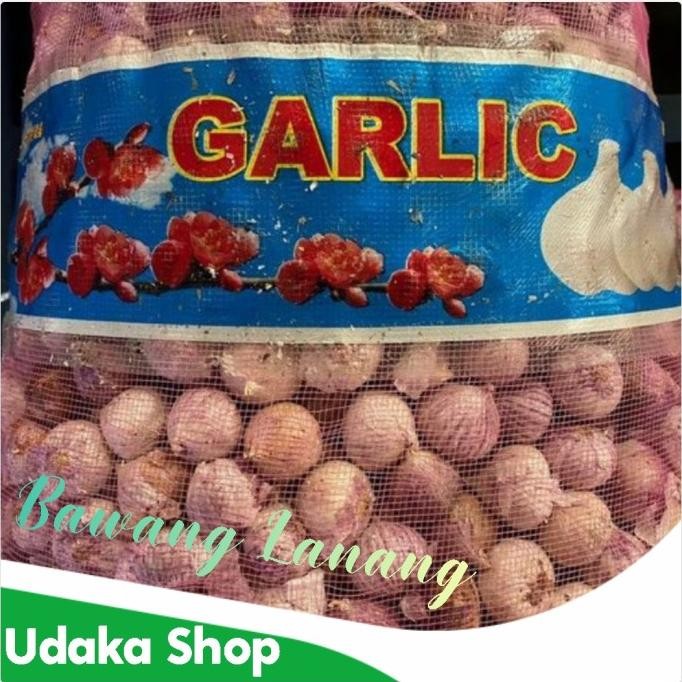 

TERMURAH - Bawang Putih Lanang Bawang Putih Tunggal